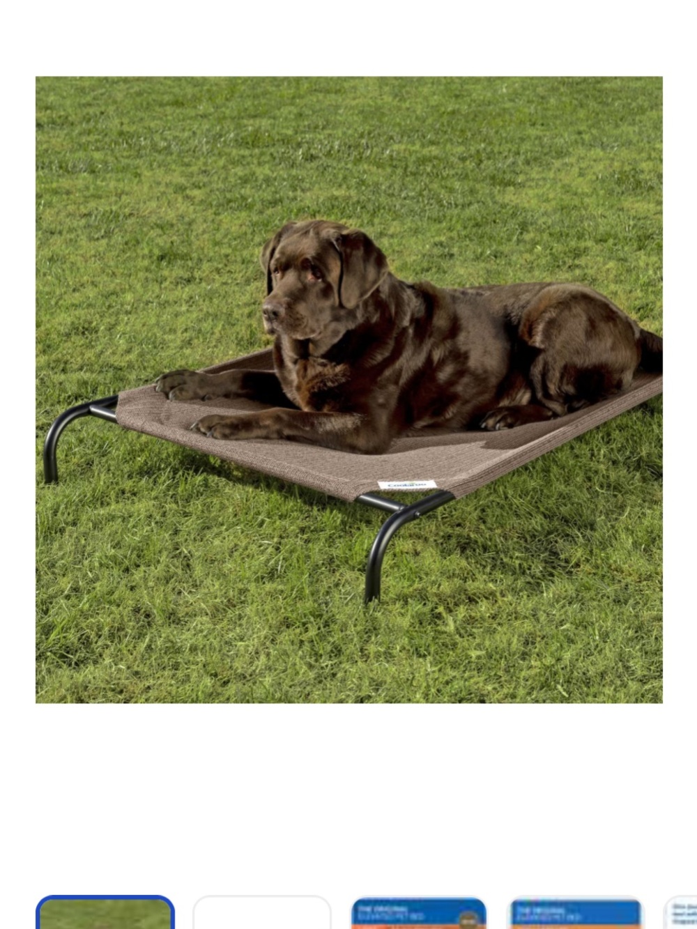 Elevated Dog Bed - Brown